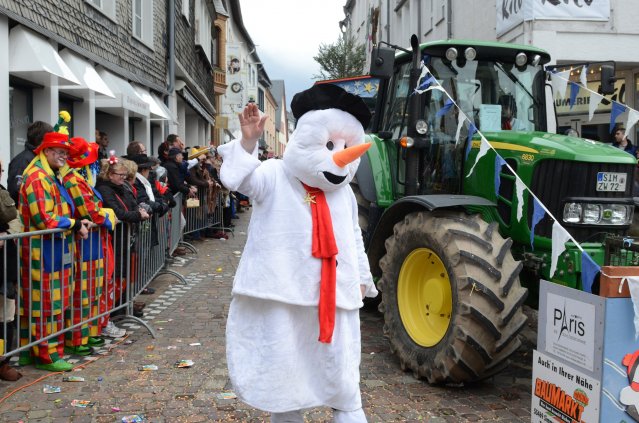 umzug simmern_140301_vb_227